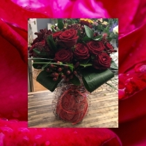 12 lush Red Roses